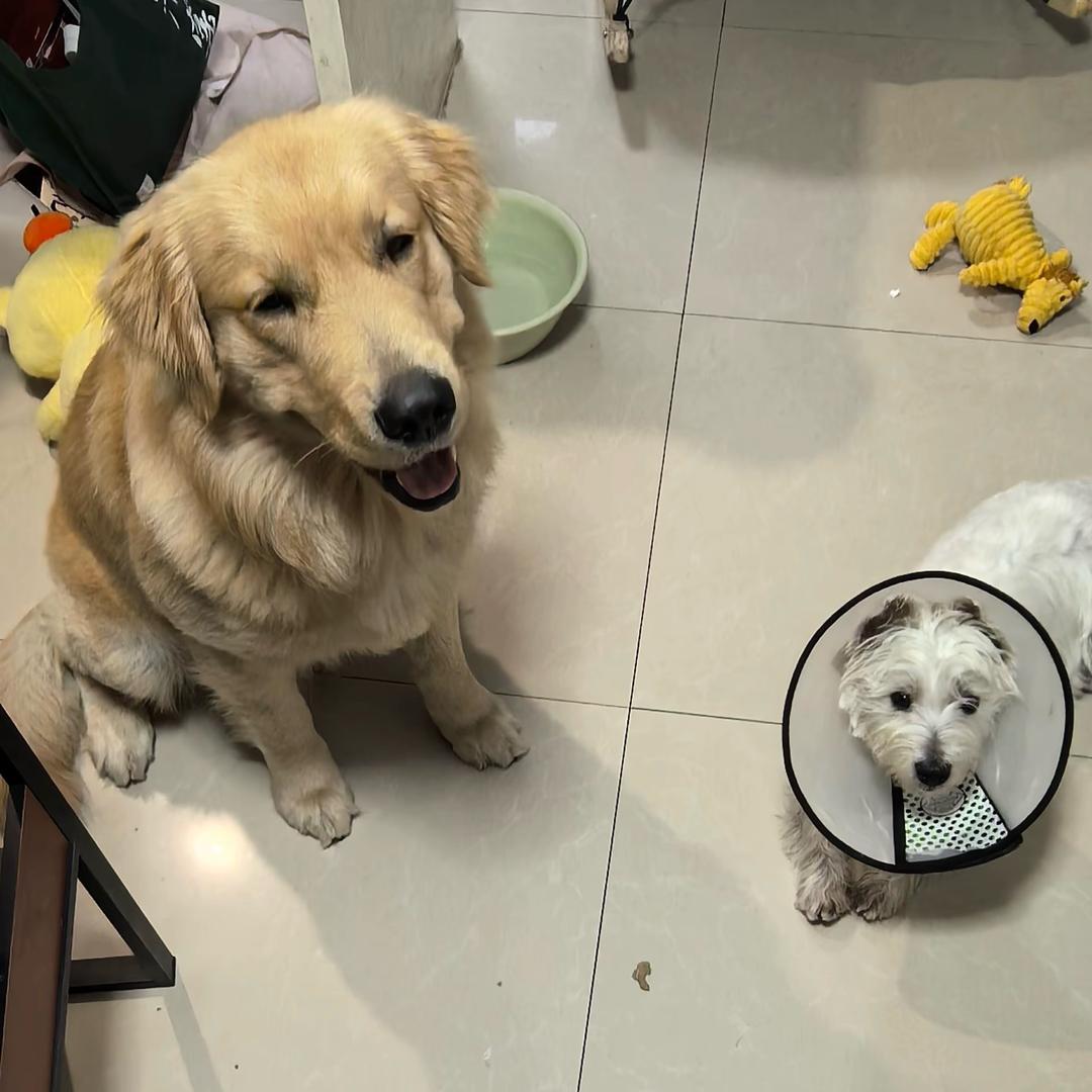 陈明礼