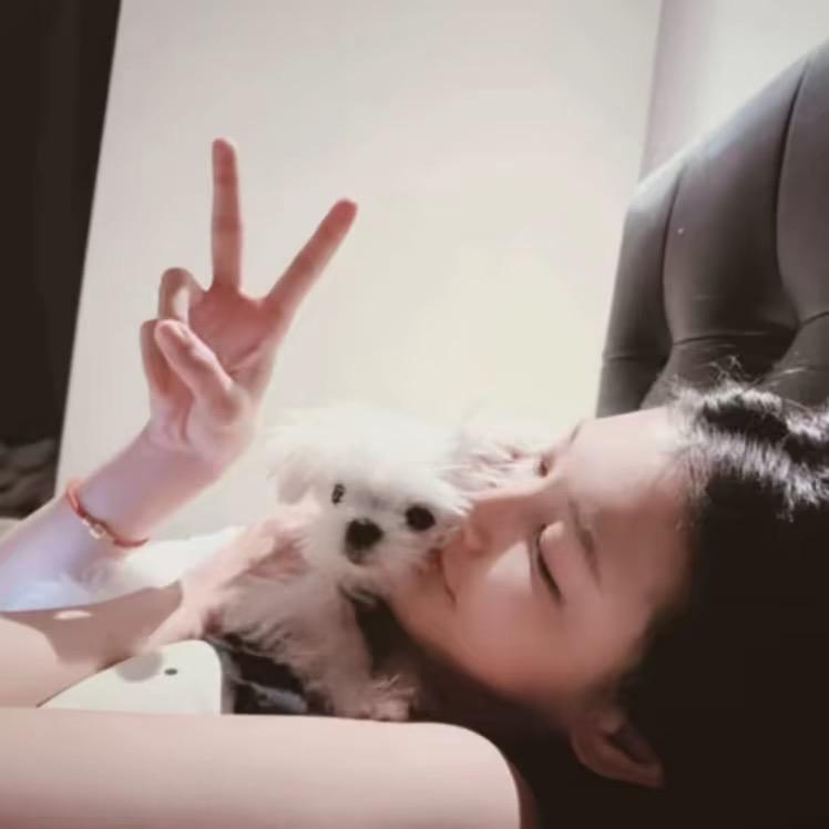 晚个安^