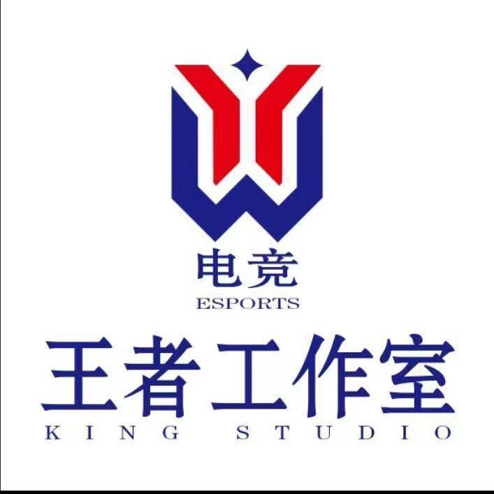 王者荣耀Wy（电竞）