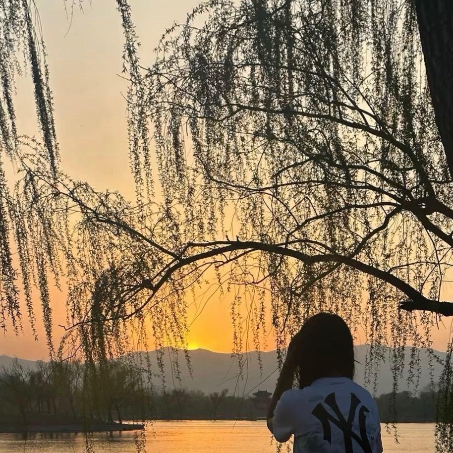 ᥫᩣ🐂₁₉⁹⁷ഒᩚ⁵²⁰᭄ 🍁