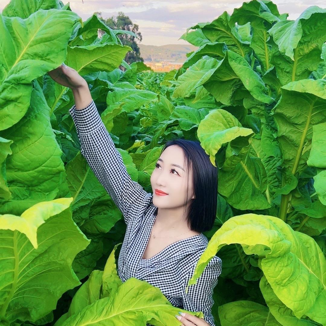 云南杨妹妹
