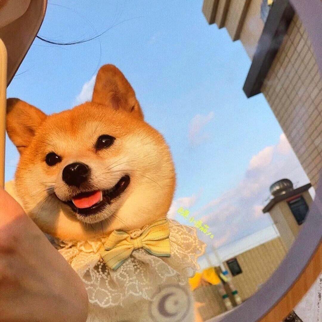 自律的小张