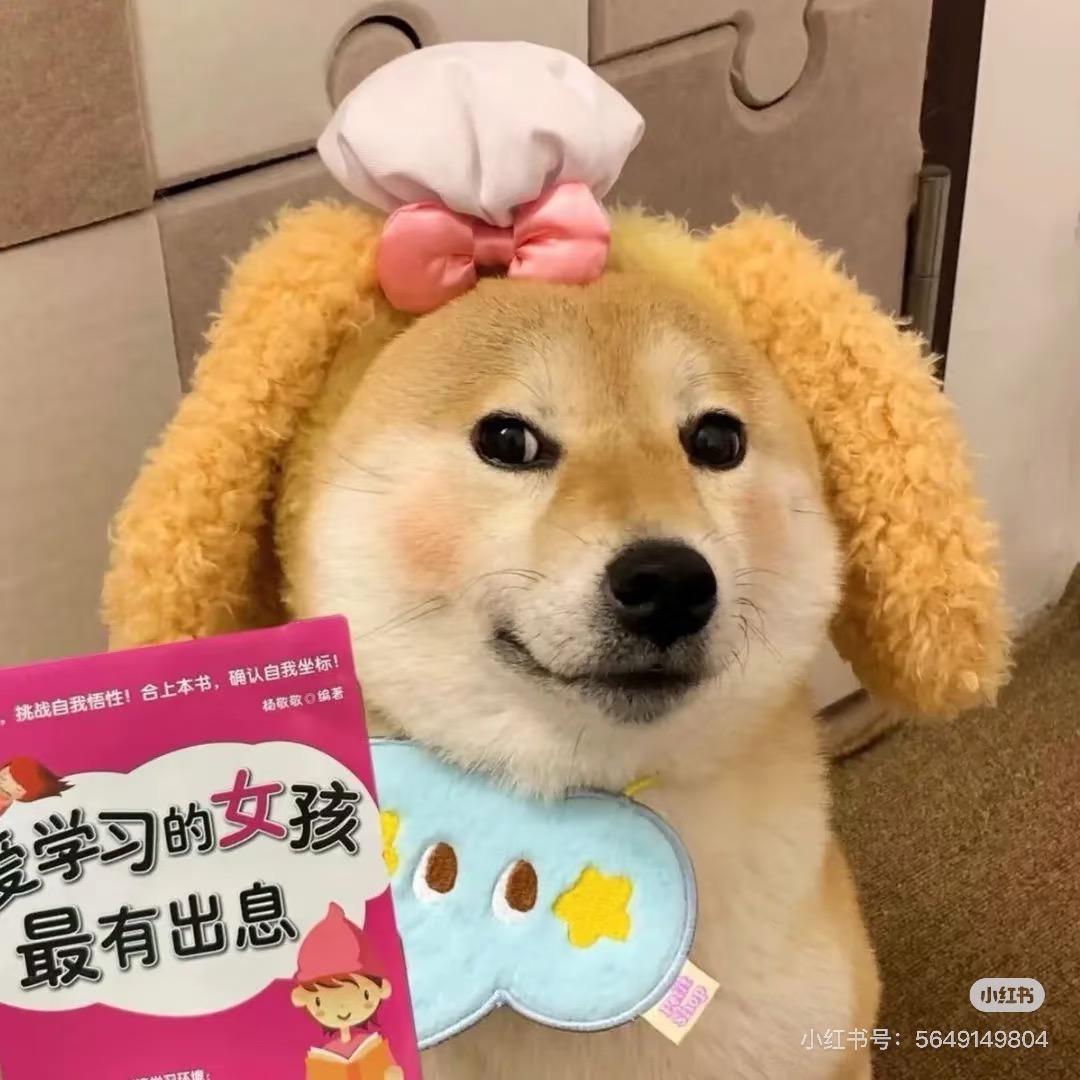 鱼香Rose✨