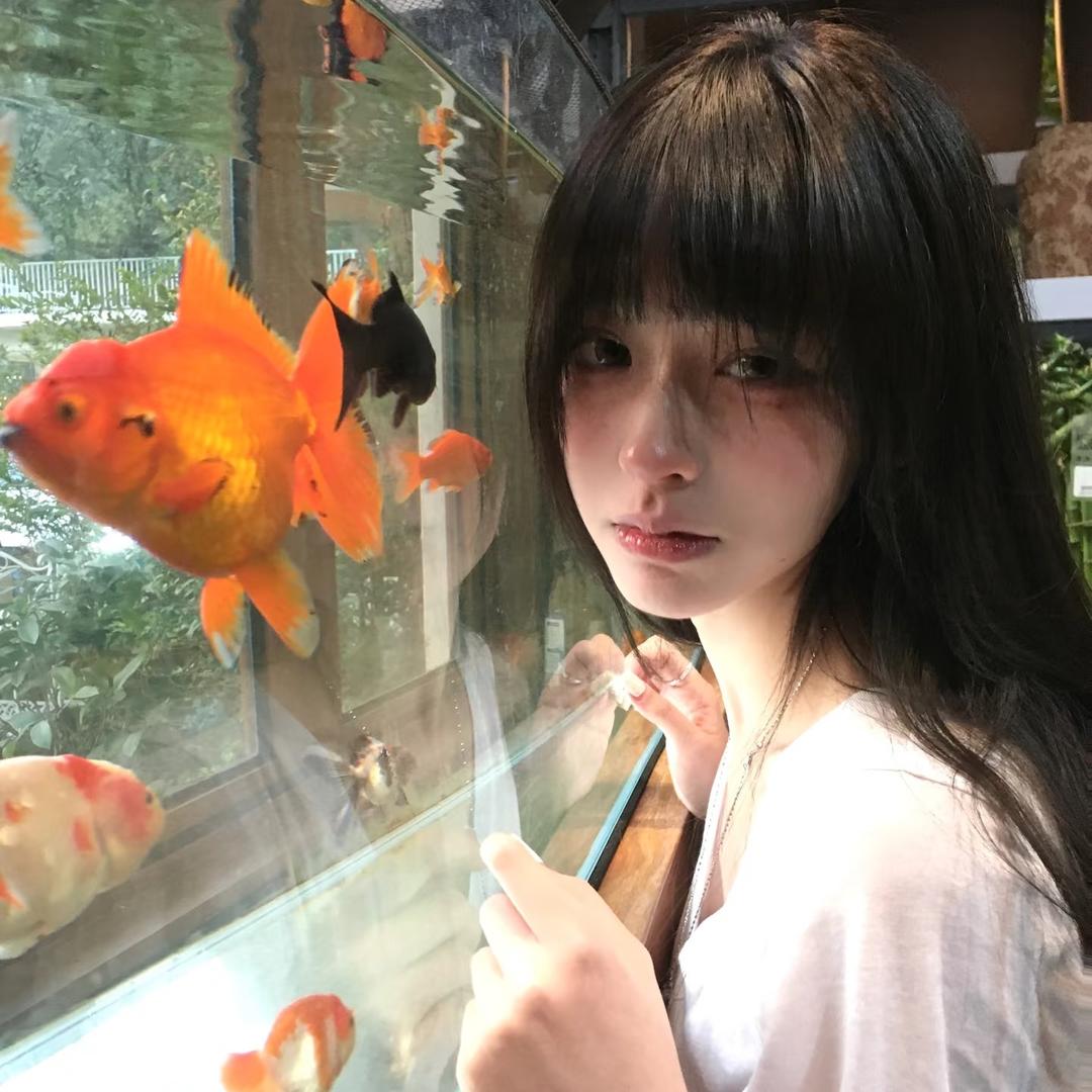 妙趣衣橱