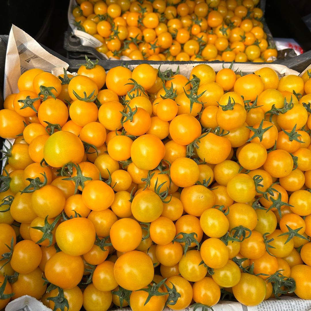 小尧哥批发小柿子