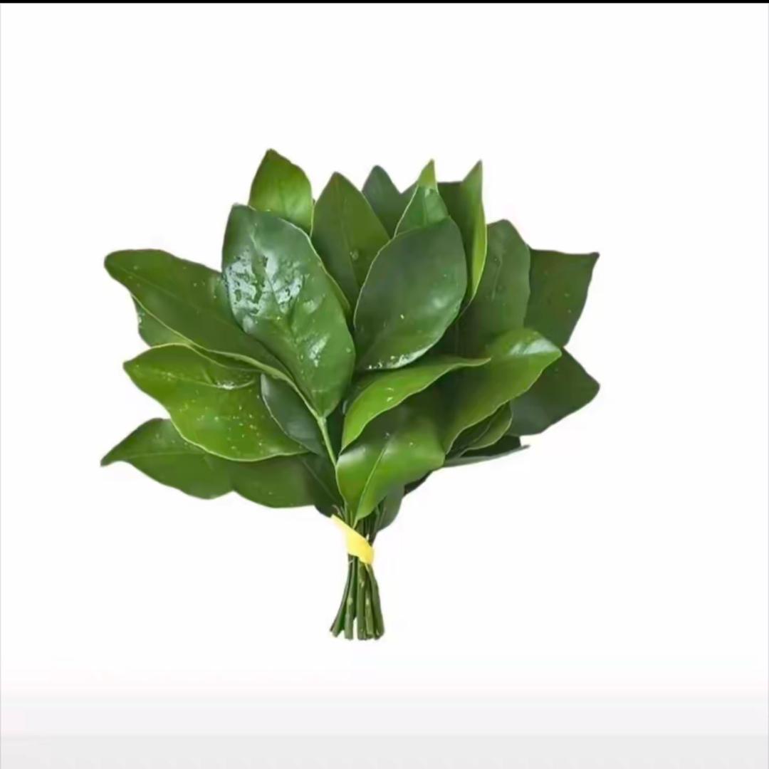 俊爺