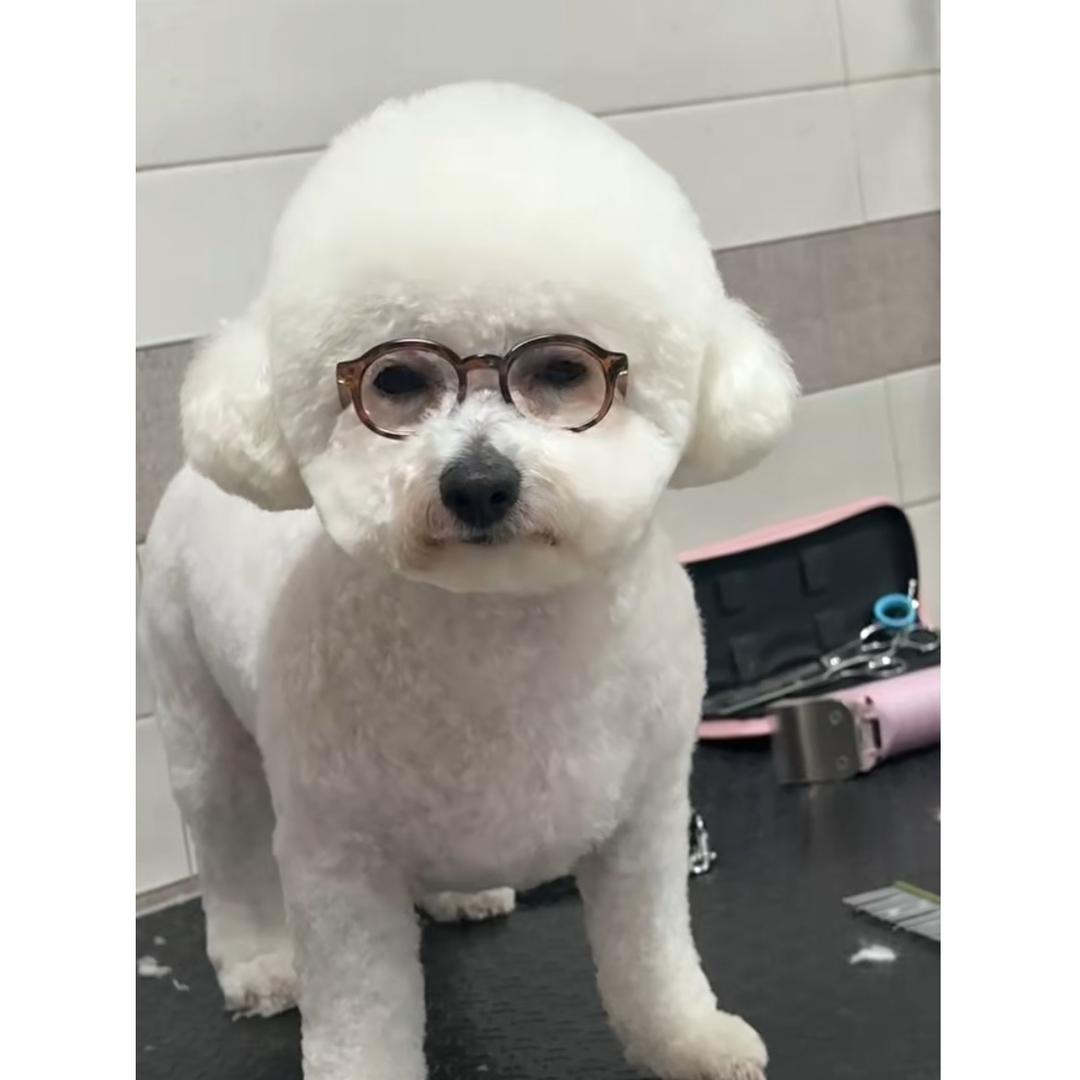 请你荔枝一点🔮