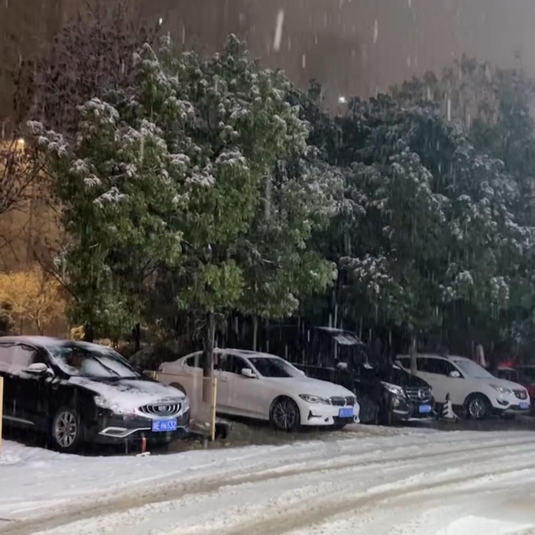 拒绝私聊ღᩚ᭄单身ฅ՞•ﻌ•՞ฅ女人ৡᩚ