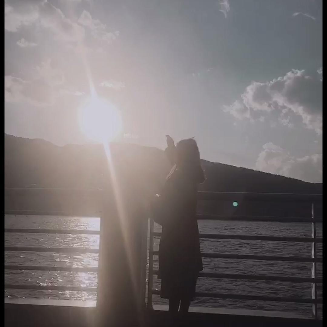绿色的小🍋
