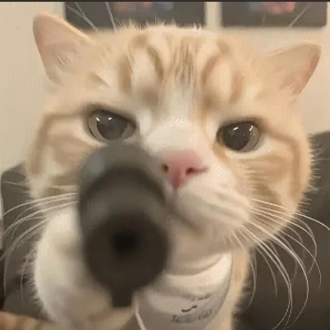 江东小霸王