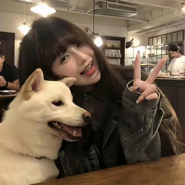 晚安雪子