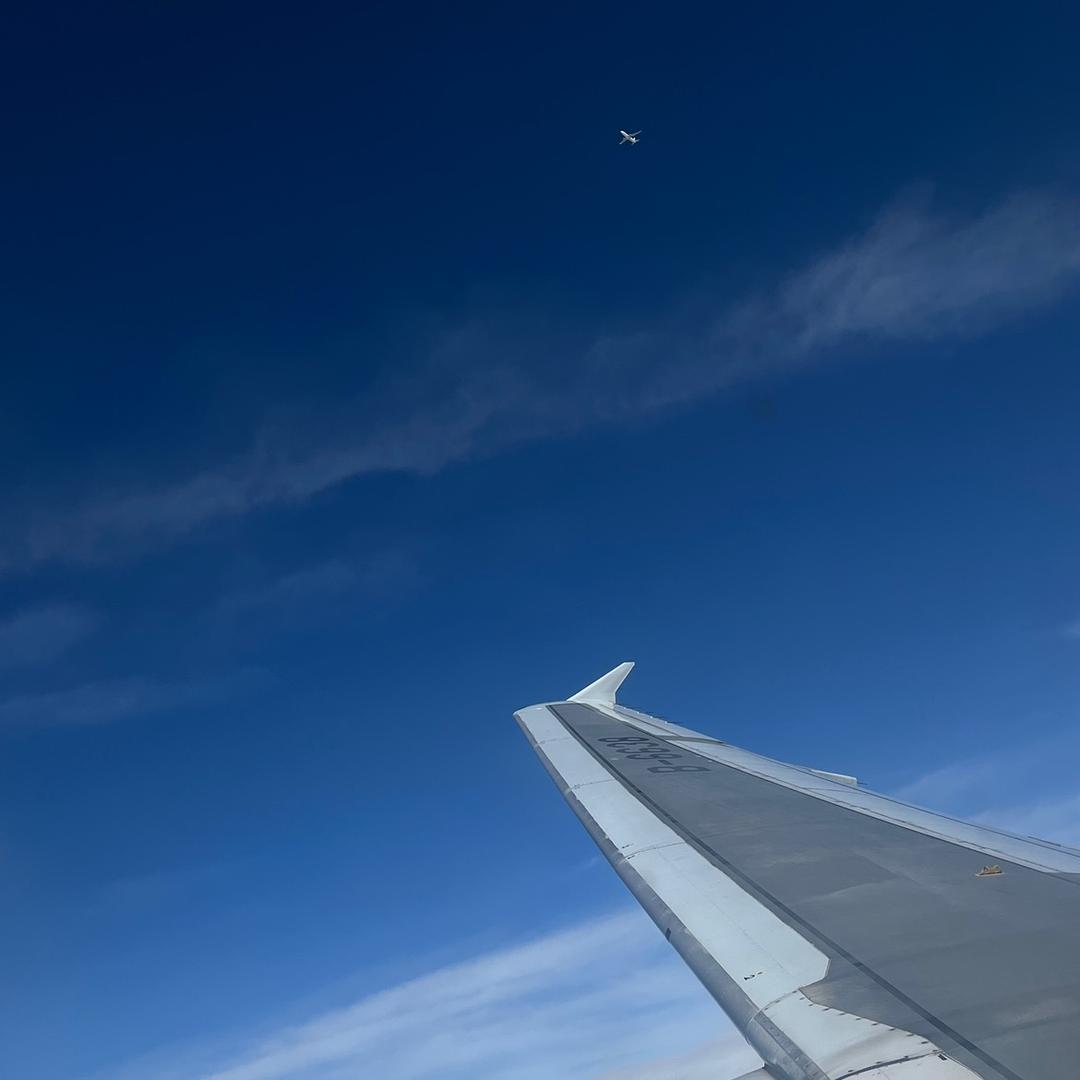 悟空