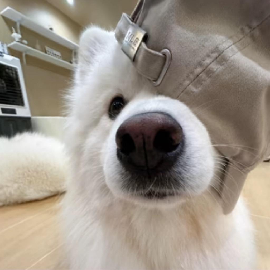 你莓了