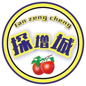 探增城-罗着数