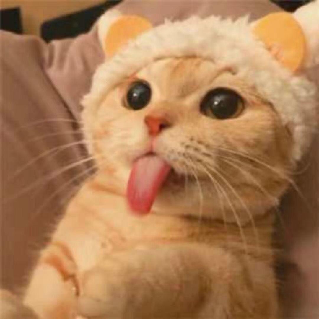 佳宇