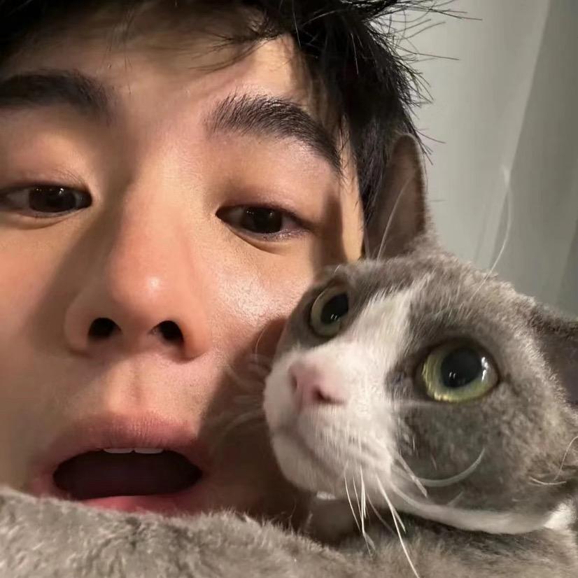 wen文
