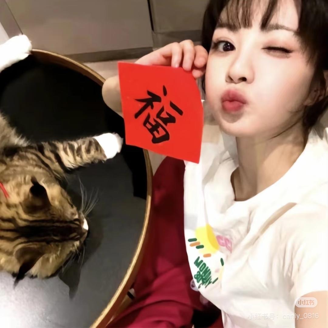 小鹿别乱撞🍄