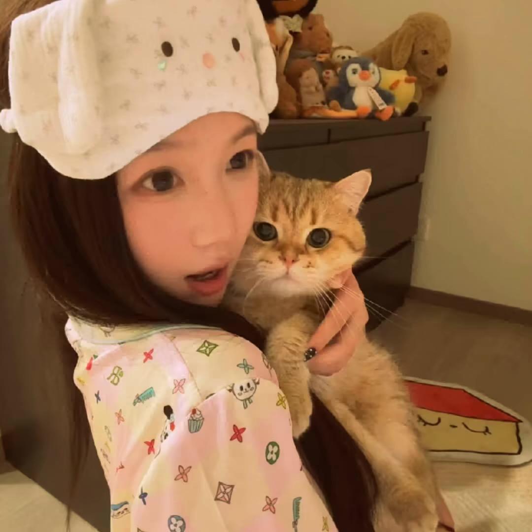 豆