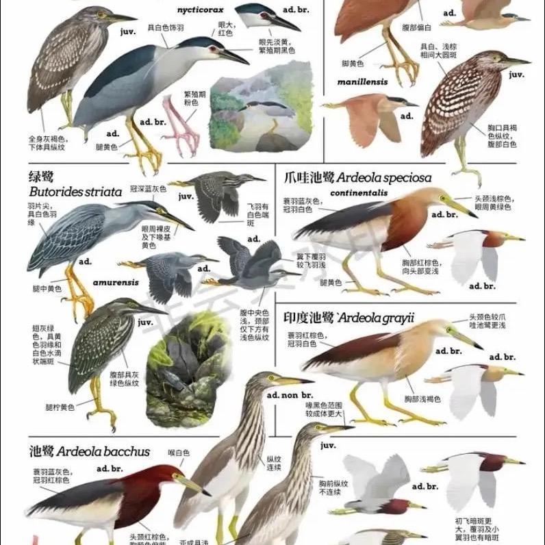 抖音一号【】🦜𝑲𝙑𝙒𝙄𝙀 】