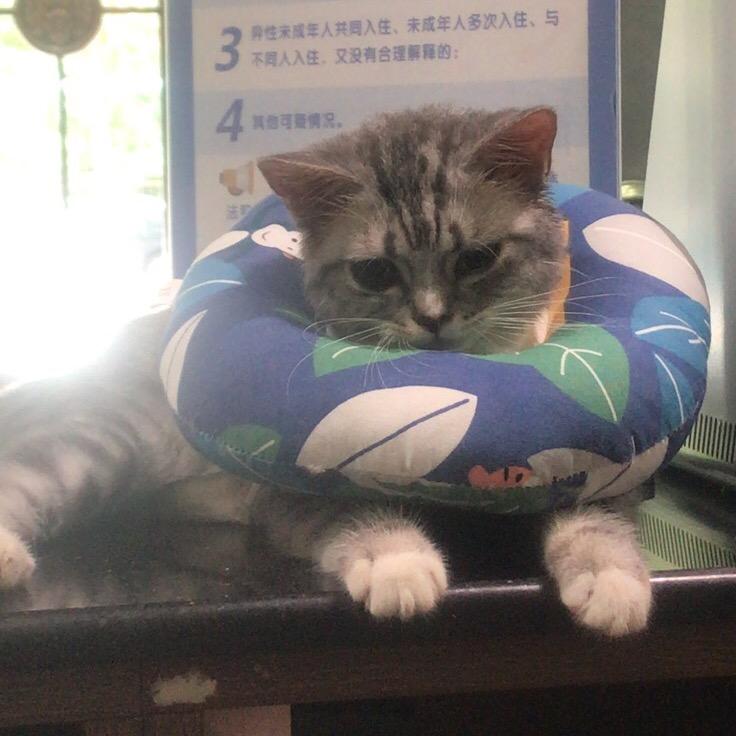 嘘…别bb，娜姐很低调