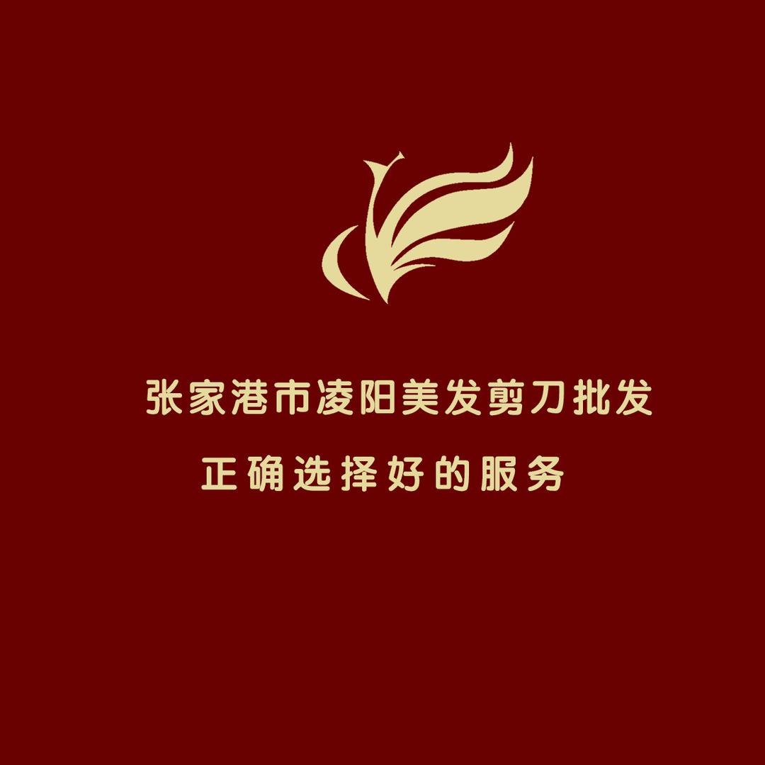 凌阳美发剪刀零基础直播培训（1号店）