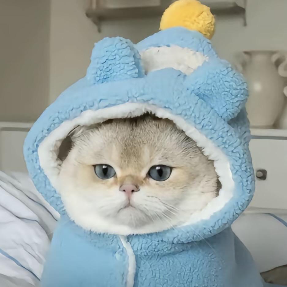 👻ඏ  番茄不炒蛋🍅  💢⛵