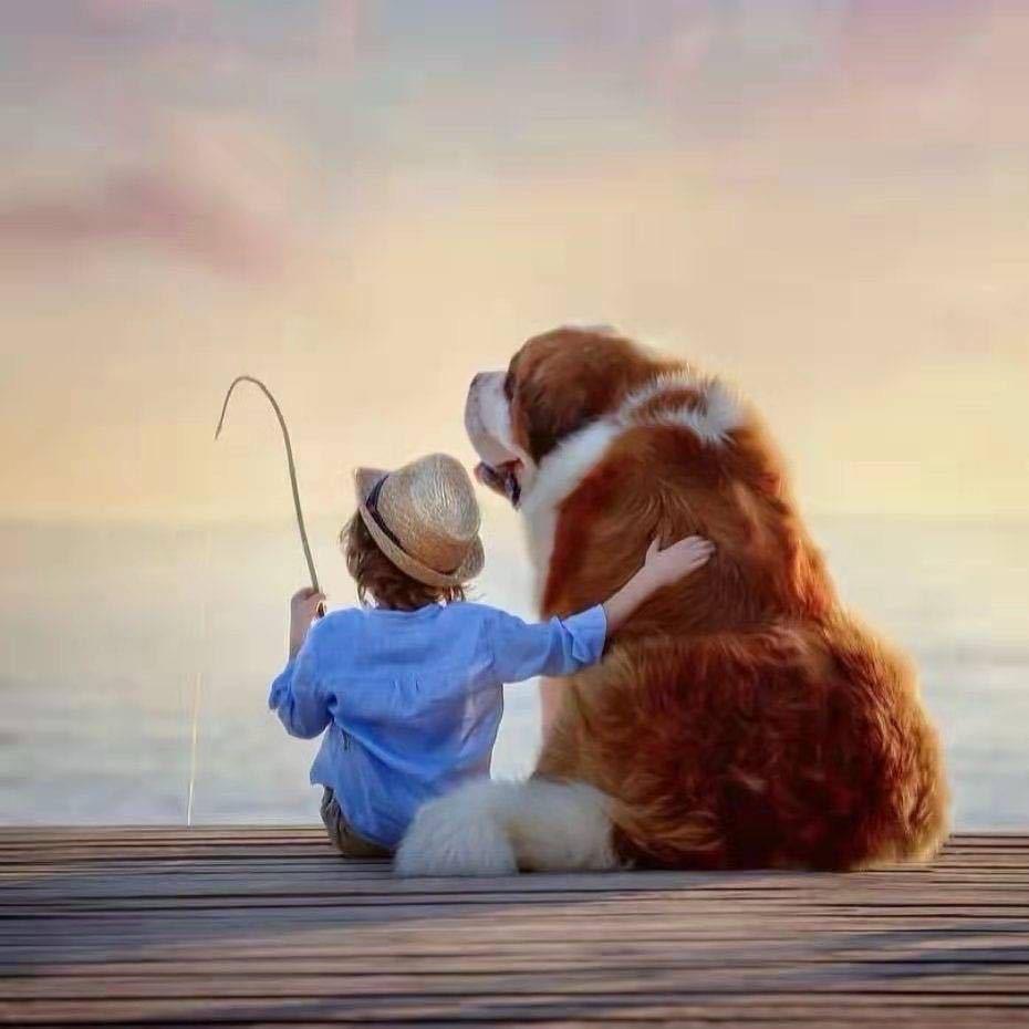 ❥゛木煜ヾꦿ໊℘