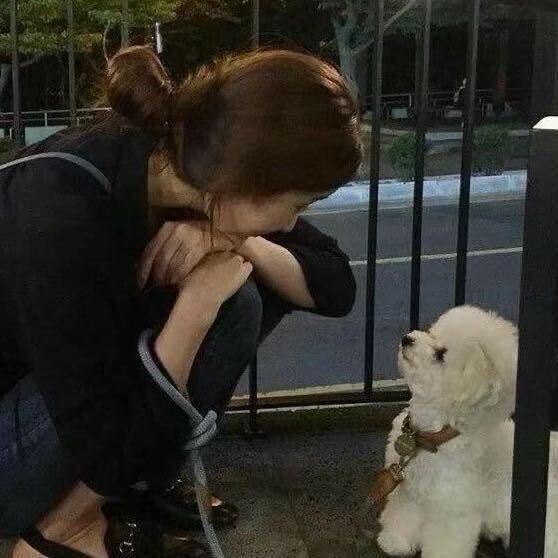 蟹老板放假啦