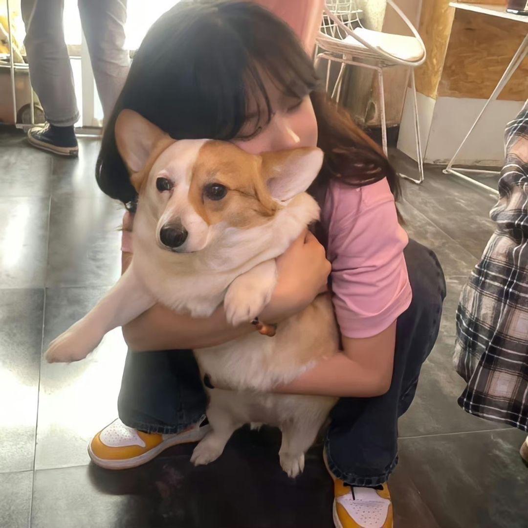 小颖啊