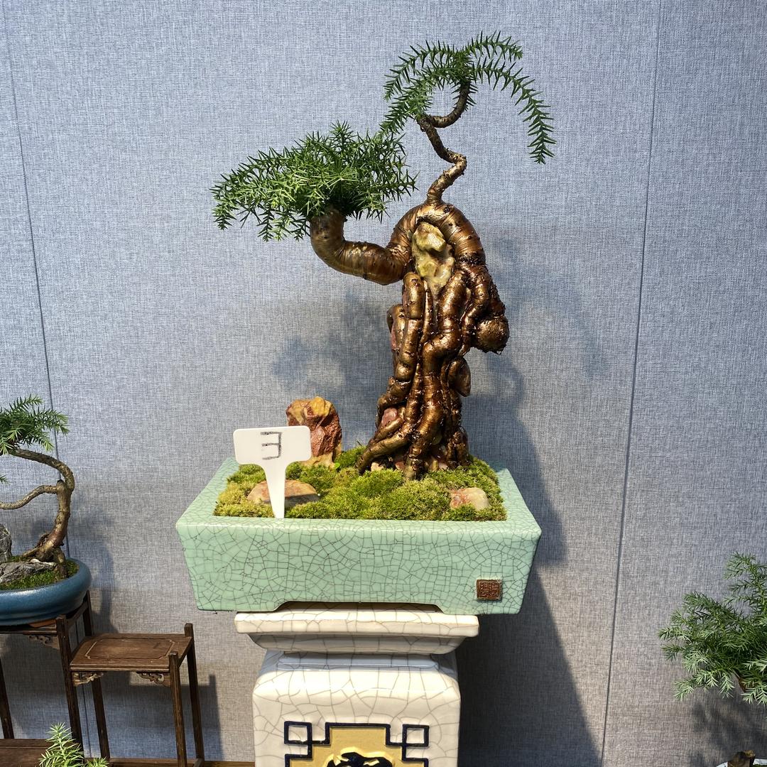 山田园艺