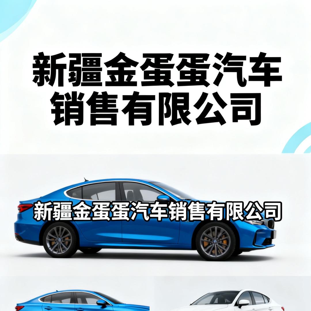 新疆金蛋蛋汽车-小迪