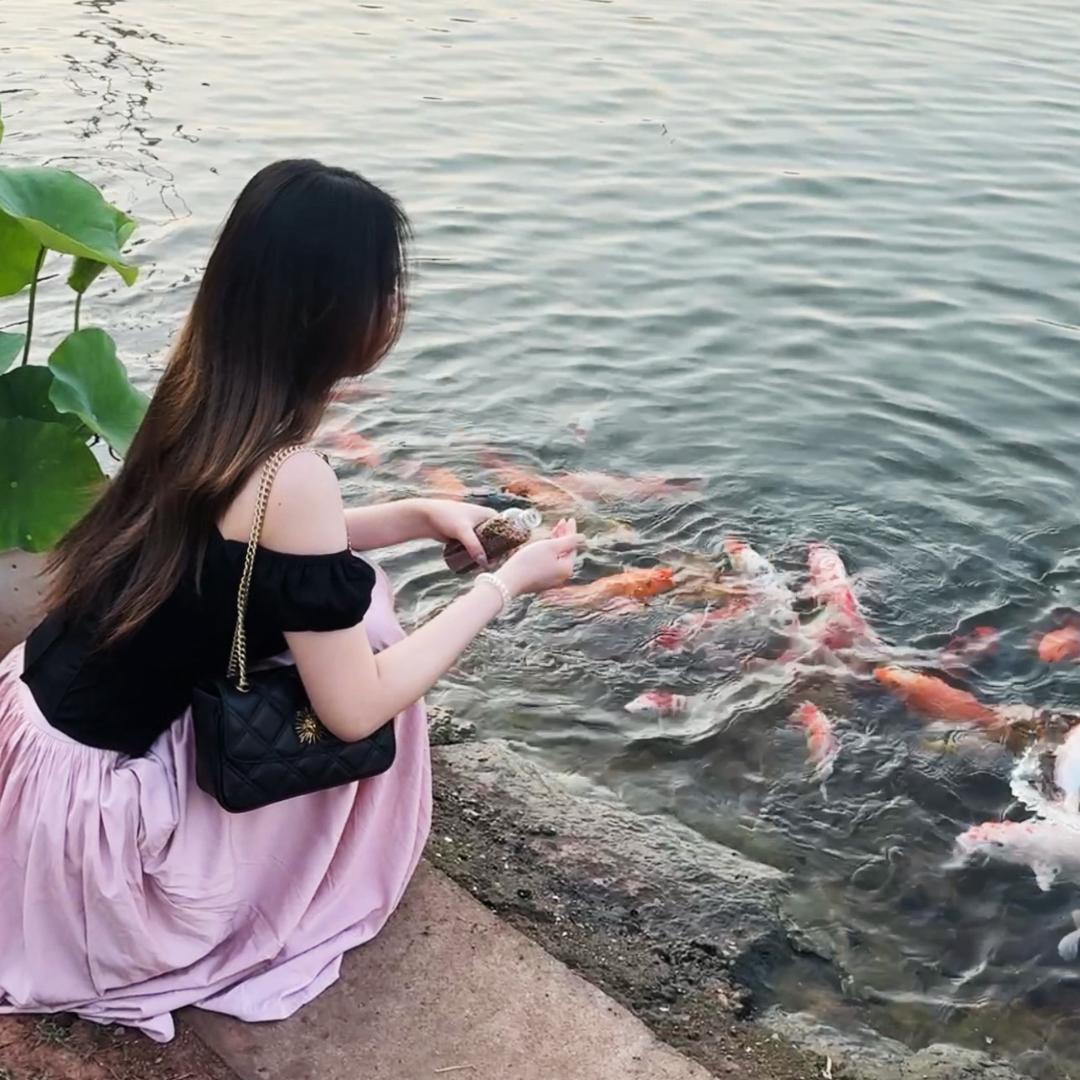 贝贝.