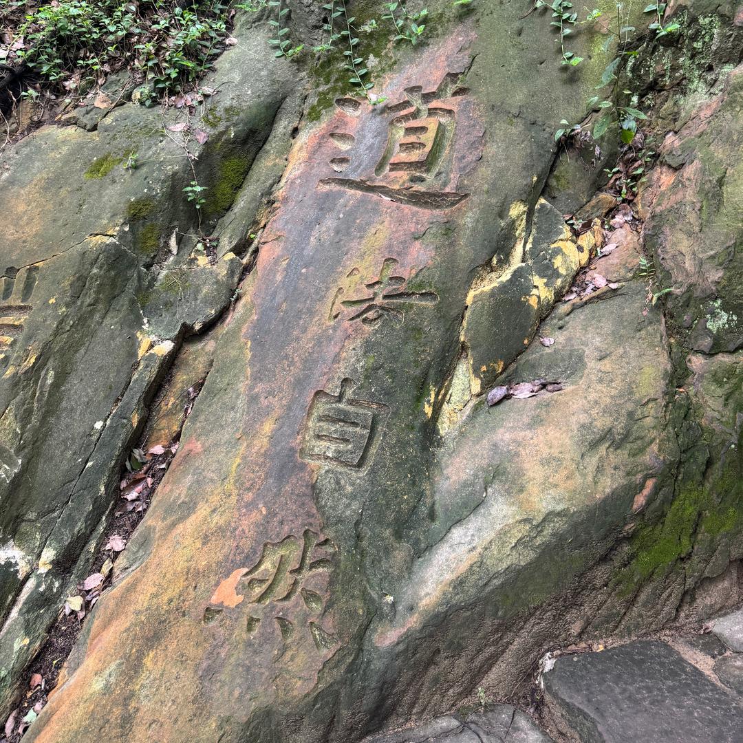 沐林