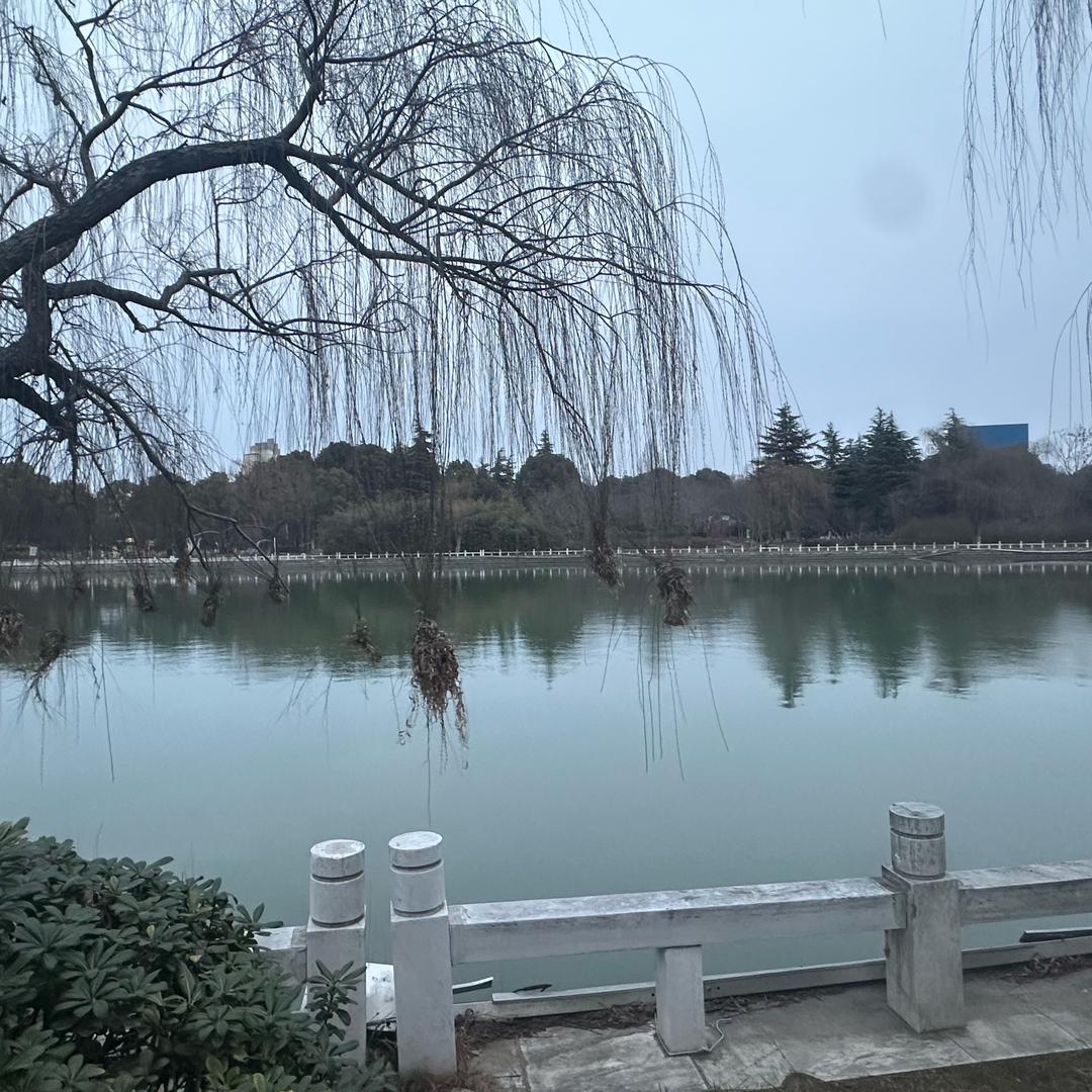 如履薄冰的嘉豪