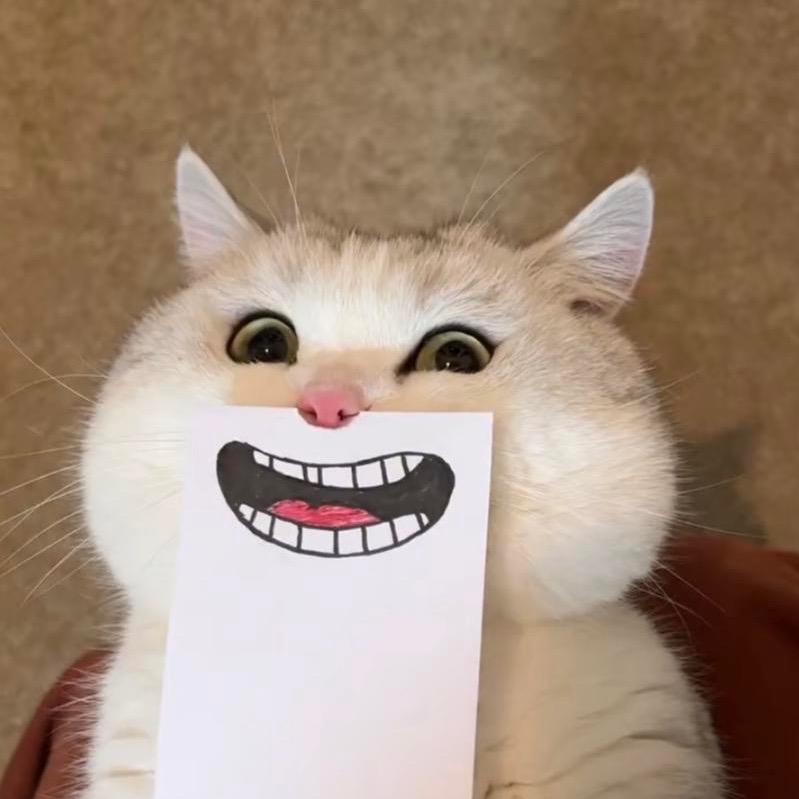 不会眨眼的星星