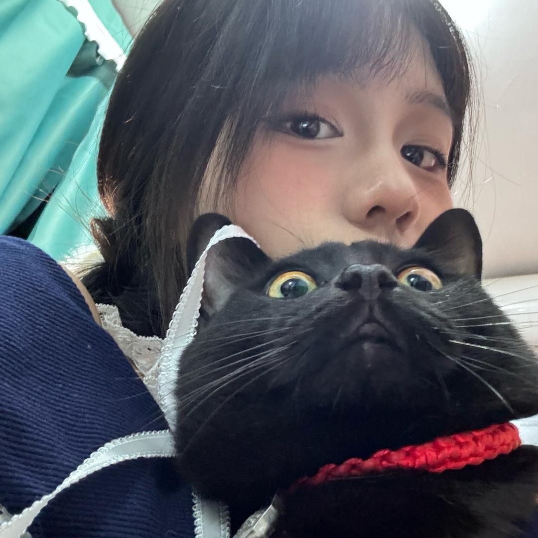 抽利群的喵🐈‍⬛