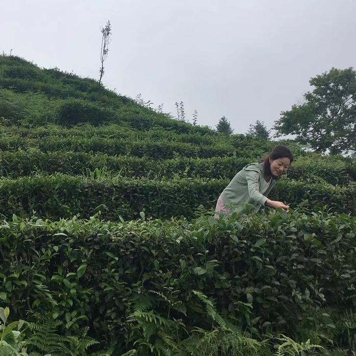 M家大小姐