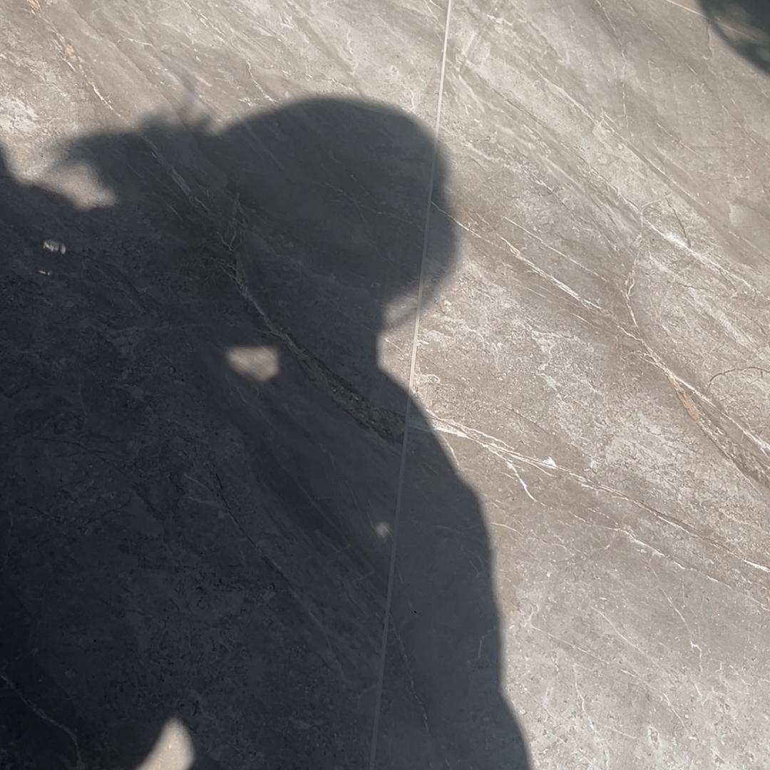 蒲公英的自由