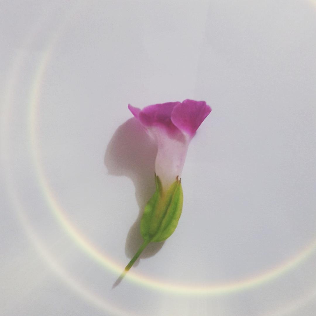 汕头市青春女孩内衣工厂店