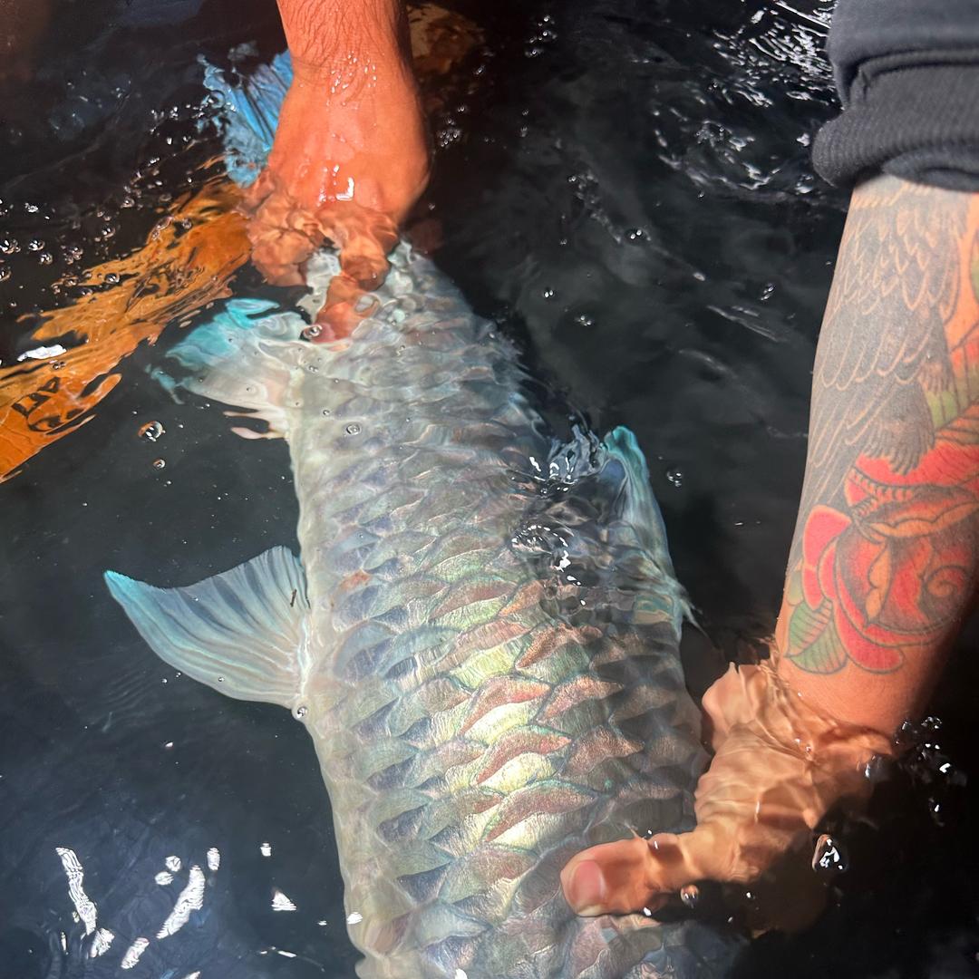 德州异口蓝吉罗总营销部—楚得成