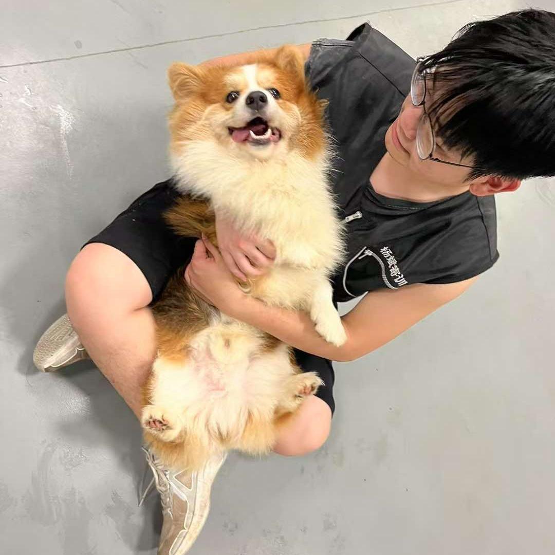 会养狗更重要