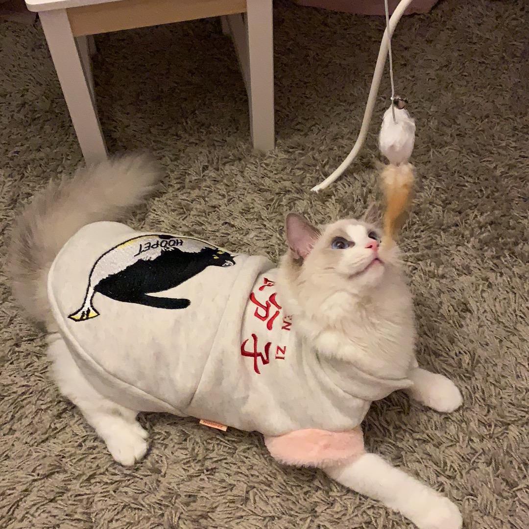 爱喝鱼的洗澡水