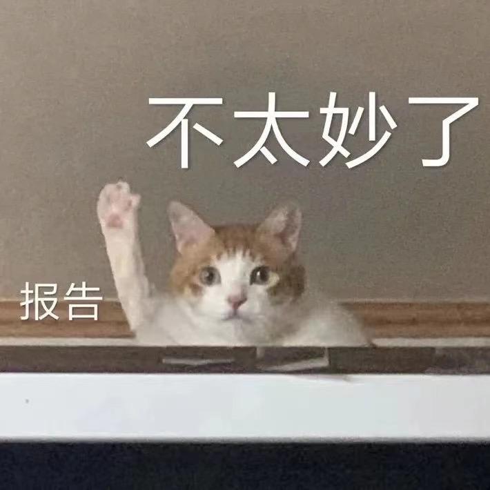いずみ