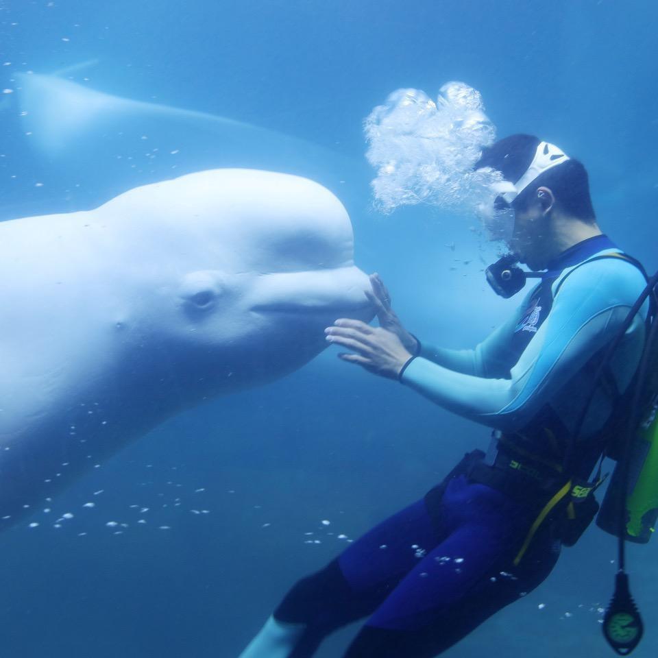 唐河在逃凉粉📸