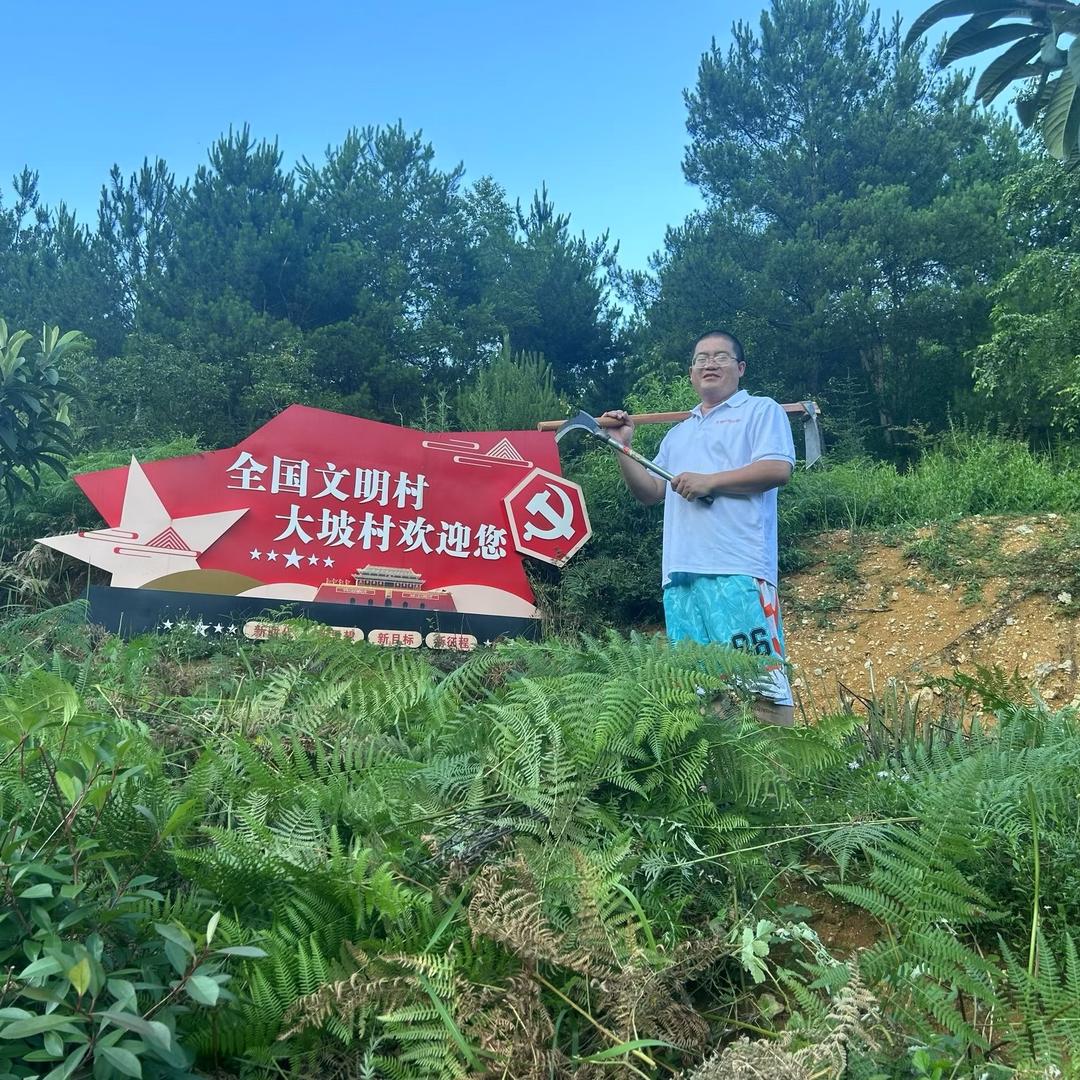 红尘照良知