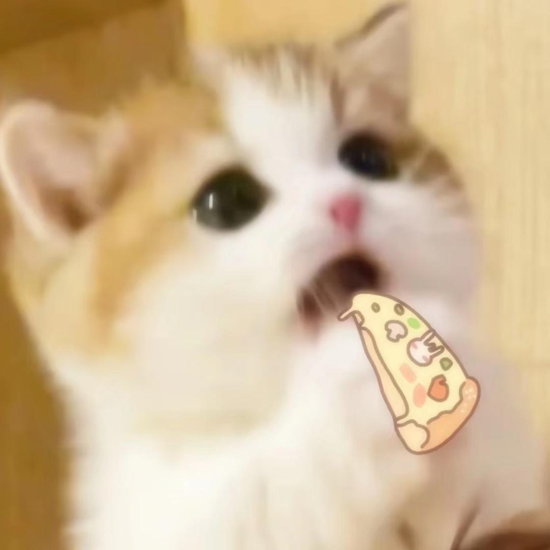 芋芋子