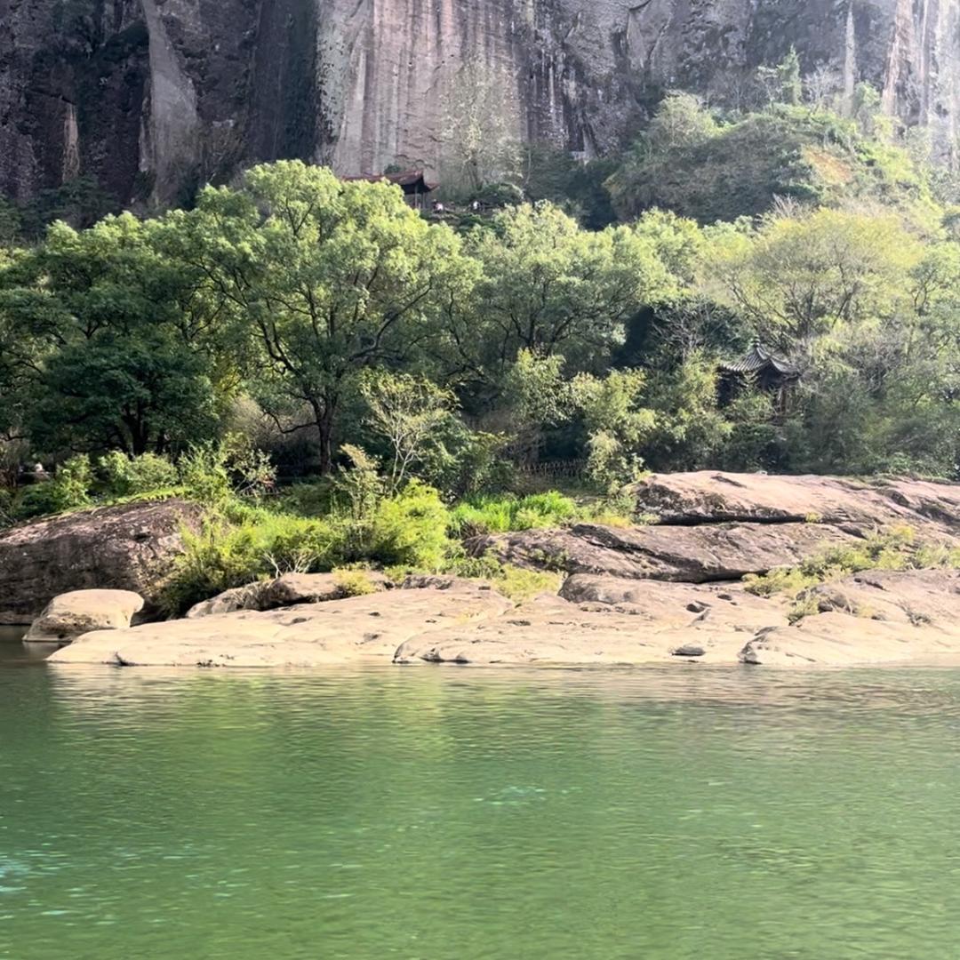 阳光灿烂💕
