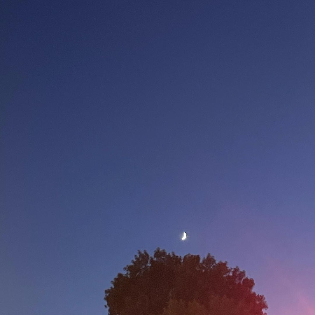 京语