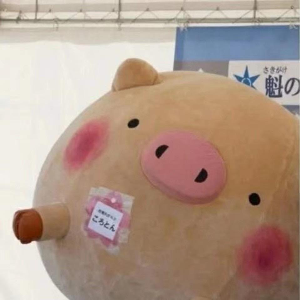 苏叶