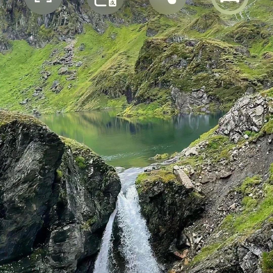 *鲈鱼计划🤓*🤓 あああ～